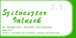 szilveszter valusek business card